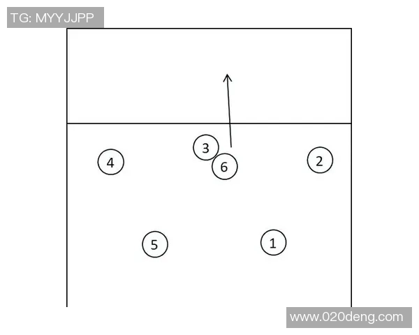 广州排球队的节奏揭秘：深入分析排球的魅力与战术策略